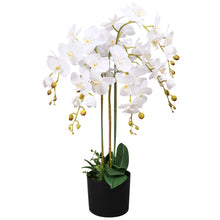 Afbeelding in Gallery-weergave laden, Kunstplant met pot orchidee 75 cm wit
